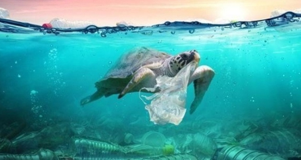 Sukamade turtle tour
